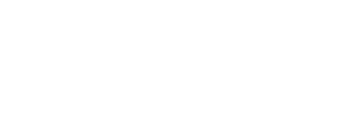 Nikol Pavlova Logo